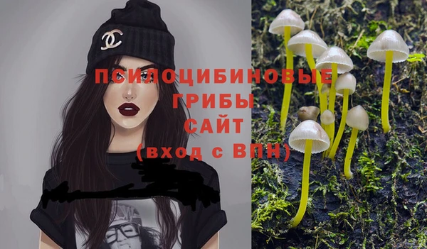 Альфа ПВП Новокубанск