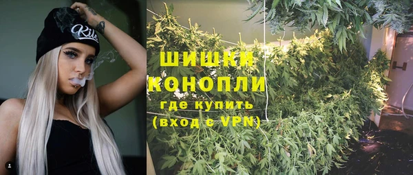 ешки Апатиты