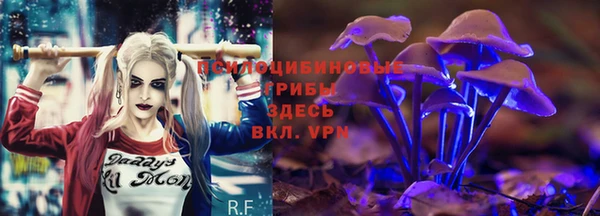 Альфа ПВП Новокубанск