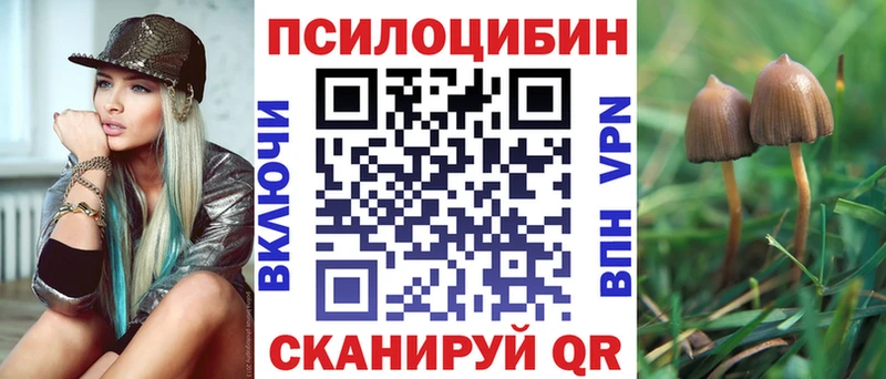 Псилоцибиновые грибы Psilocybe  дарк нет наркотические препараты  Комсомольск 