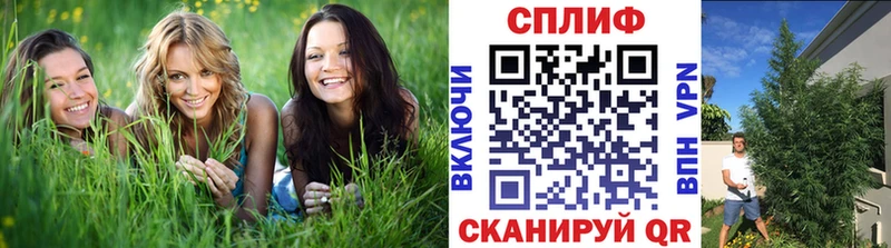 цена наркотик Комсомольск Бошки Шишки THC 21%